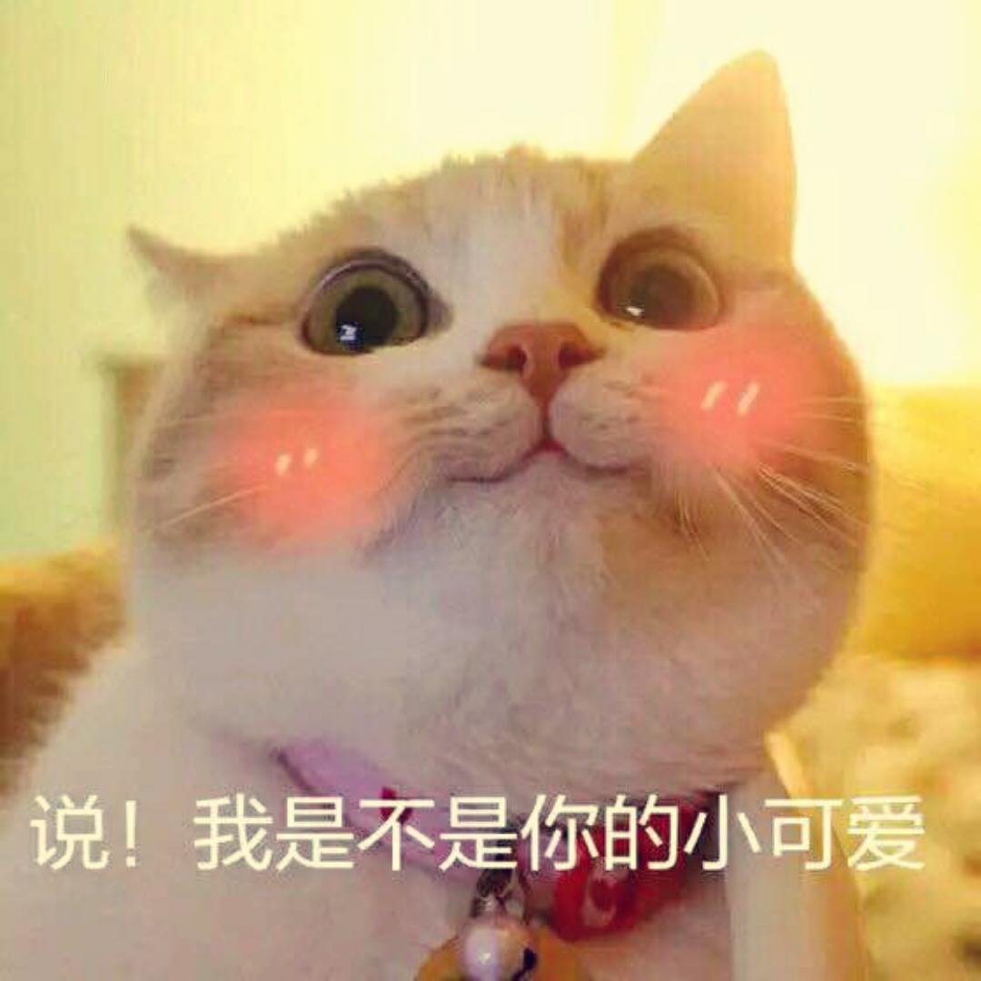 白白的白白呀