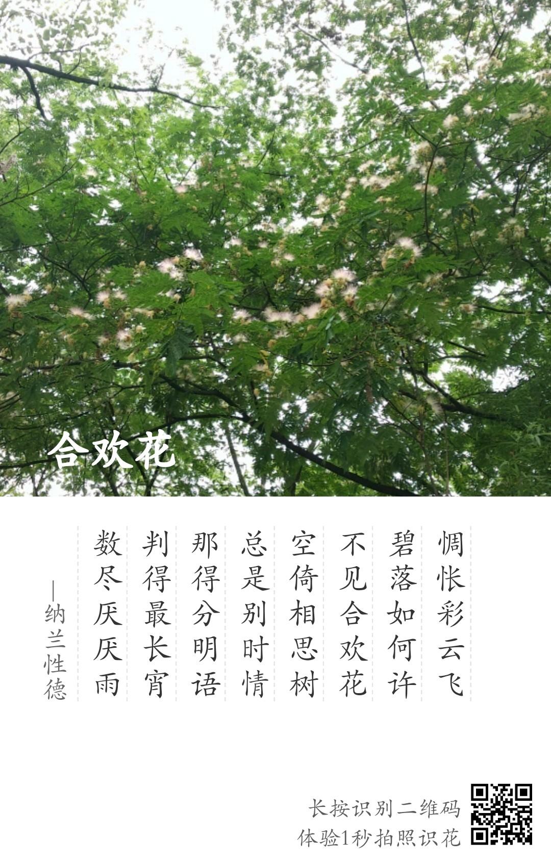 和宝贝一起认识的花草树木的做法 步骤4