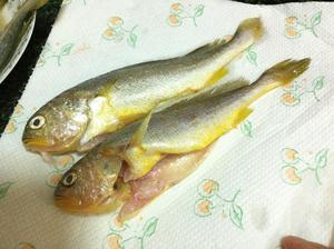 香煎小黄鱼的做法 步骤2