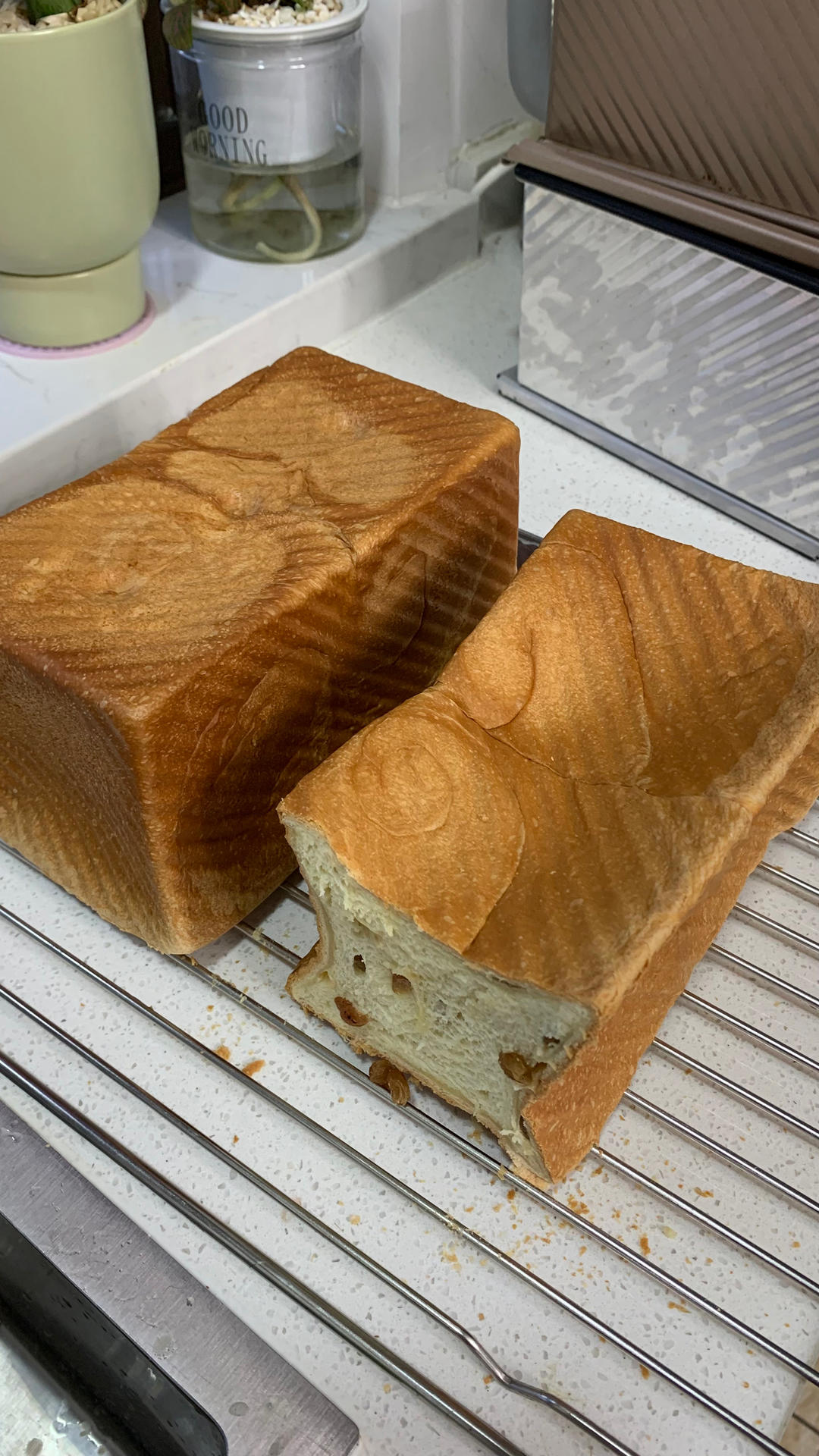 一次发酵，快手柔软Q弹，基础三明治吐司（完美封边）