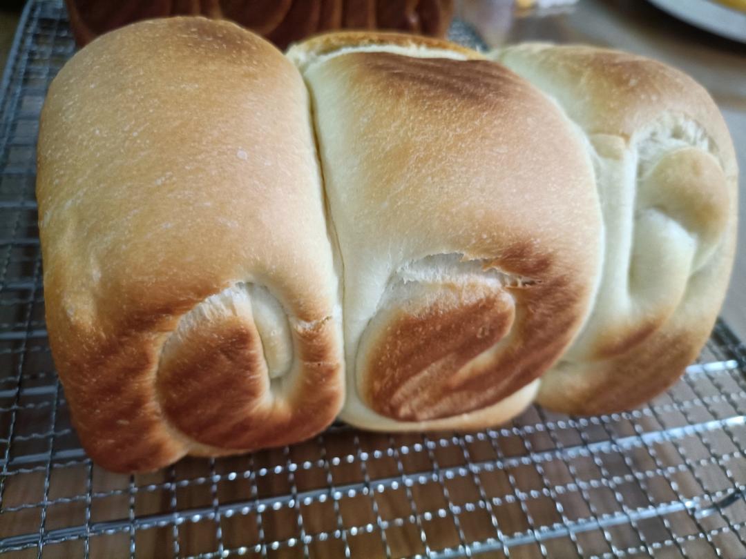 一份关于手撕吐司的跟风笔记