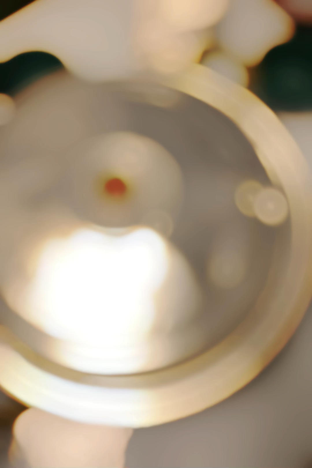 排骨豆角焖卷子