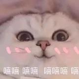 要把好吃的都学会做