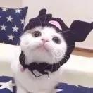 能能小宝宝