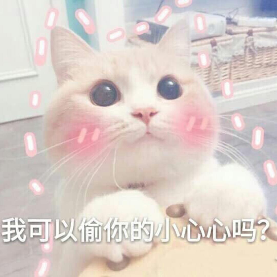 蓝原芽衣的女朋友