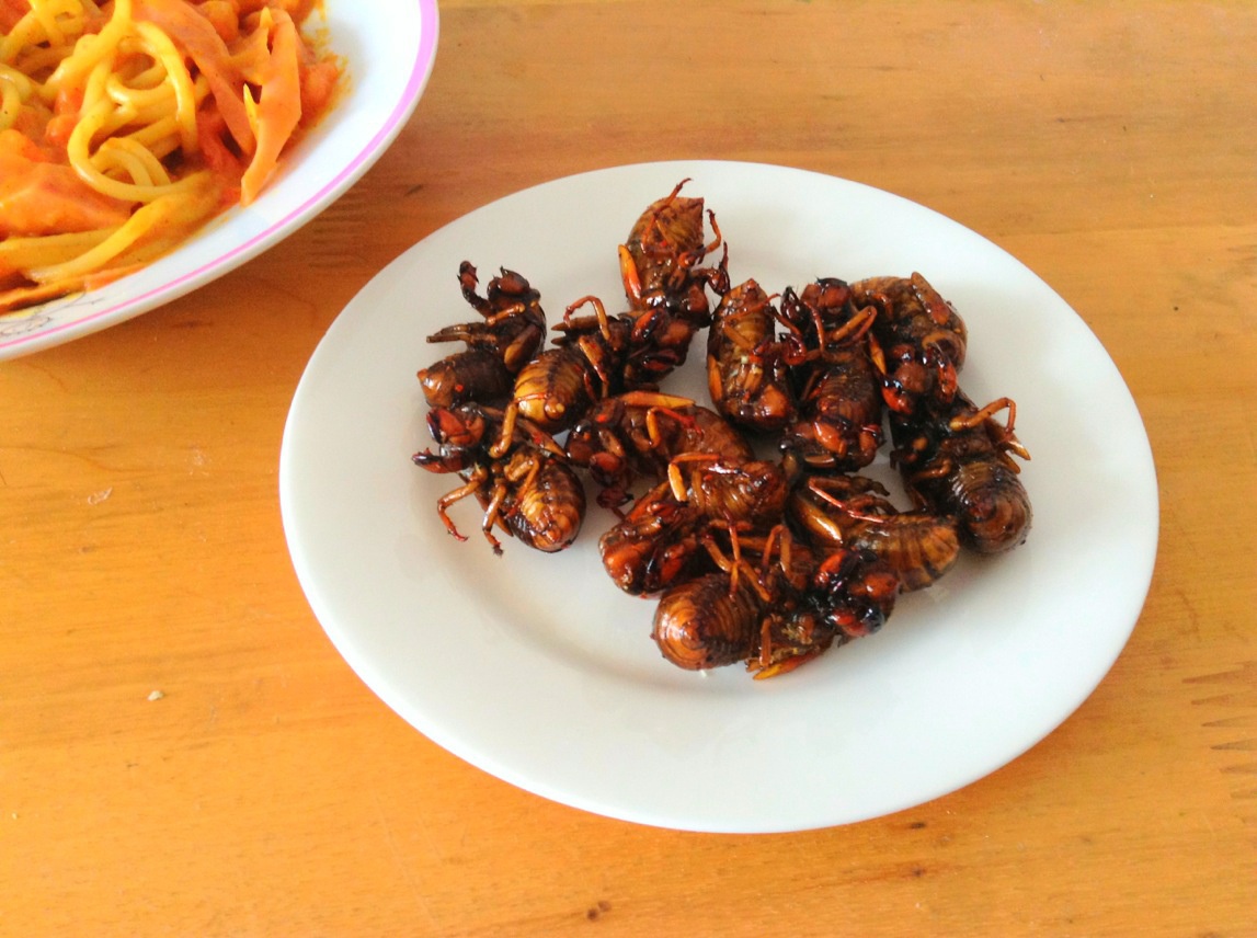 高中毕业暑假是天堂的日常Σ(⊙▽⊙"