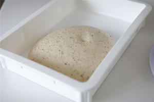 燕麦紫米软欧的做法 步骤4