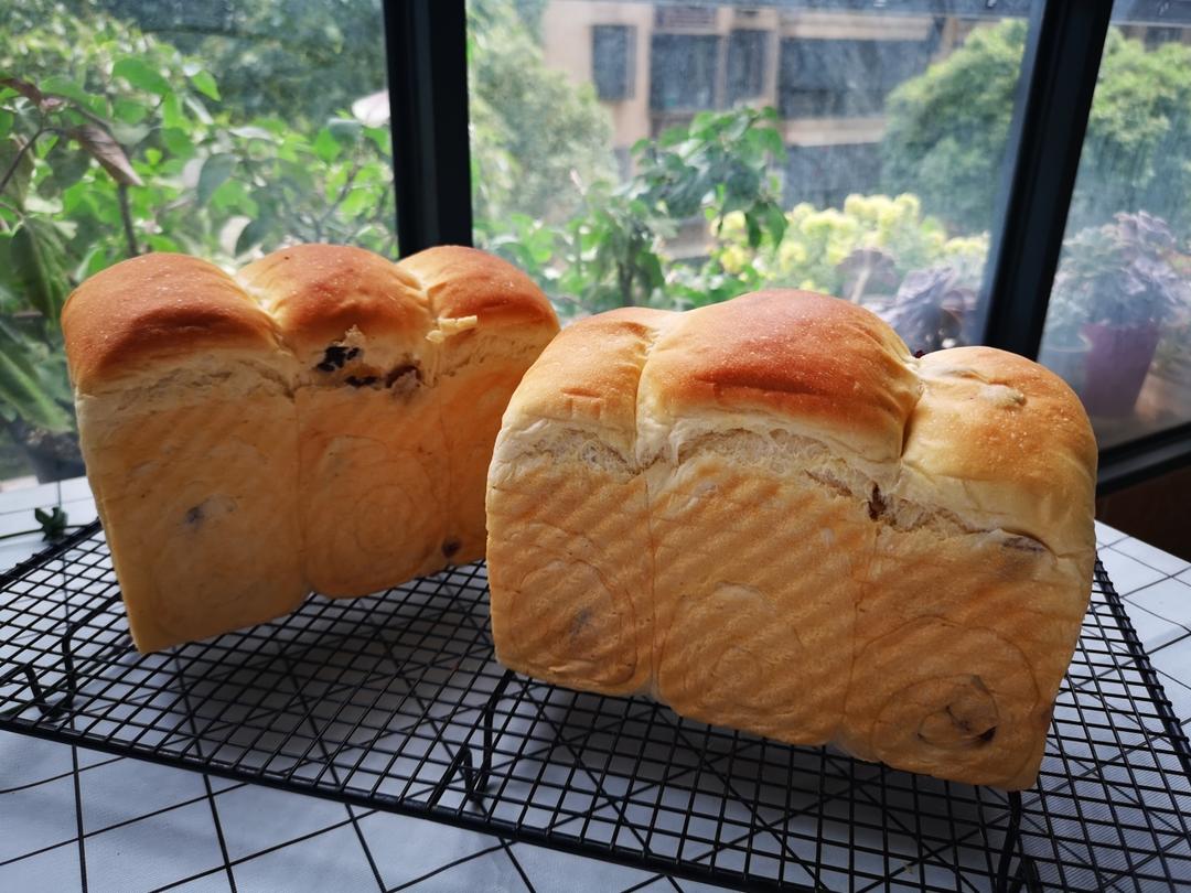 炼乳鲜奶提子吐司｜奶香加倍柔软加倍