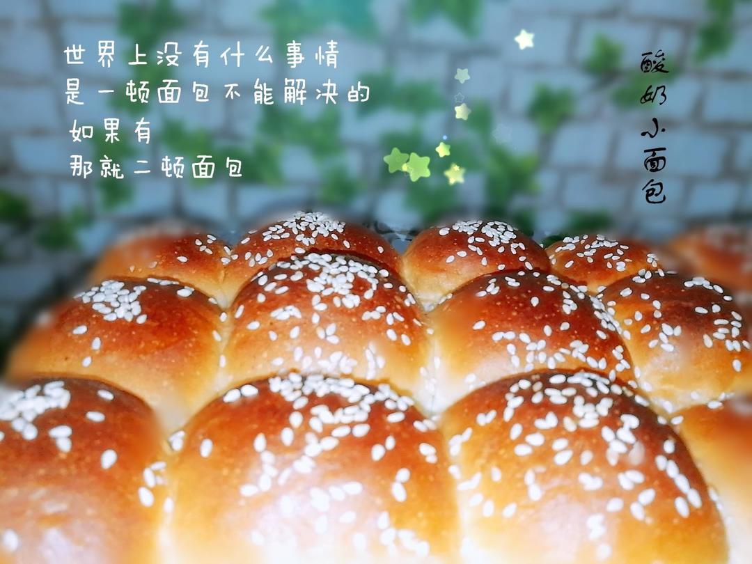简单易做 新手入门 一次发酵的酸奶小面包 酸奶小餐包 炒鸡柔软的做法