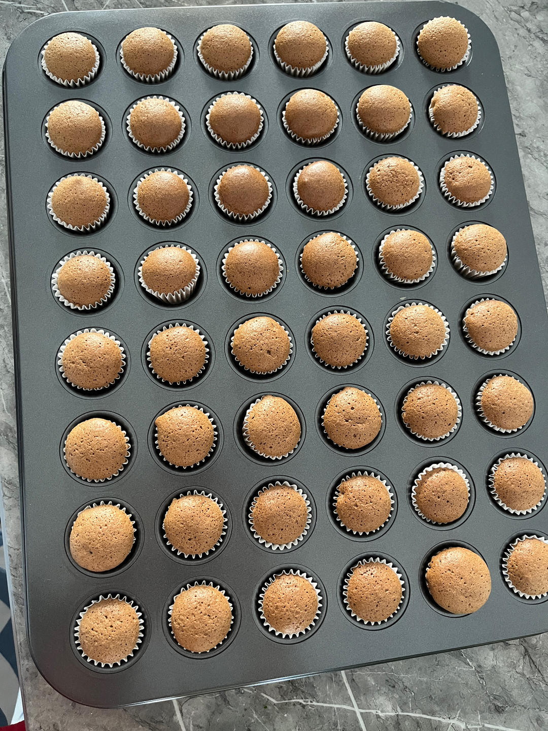 馋哭隔壁孩子的酸奶（原味）小蛋糕（24连48连通用配方）