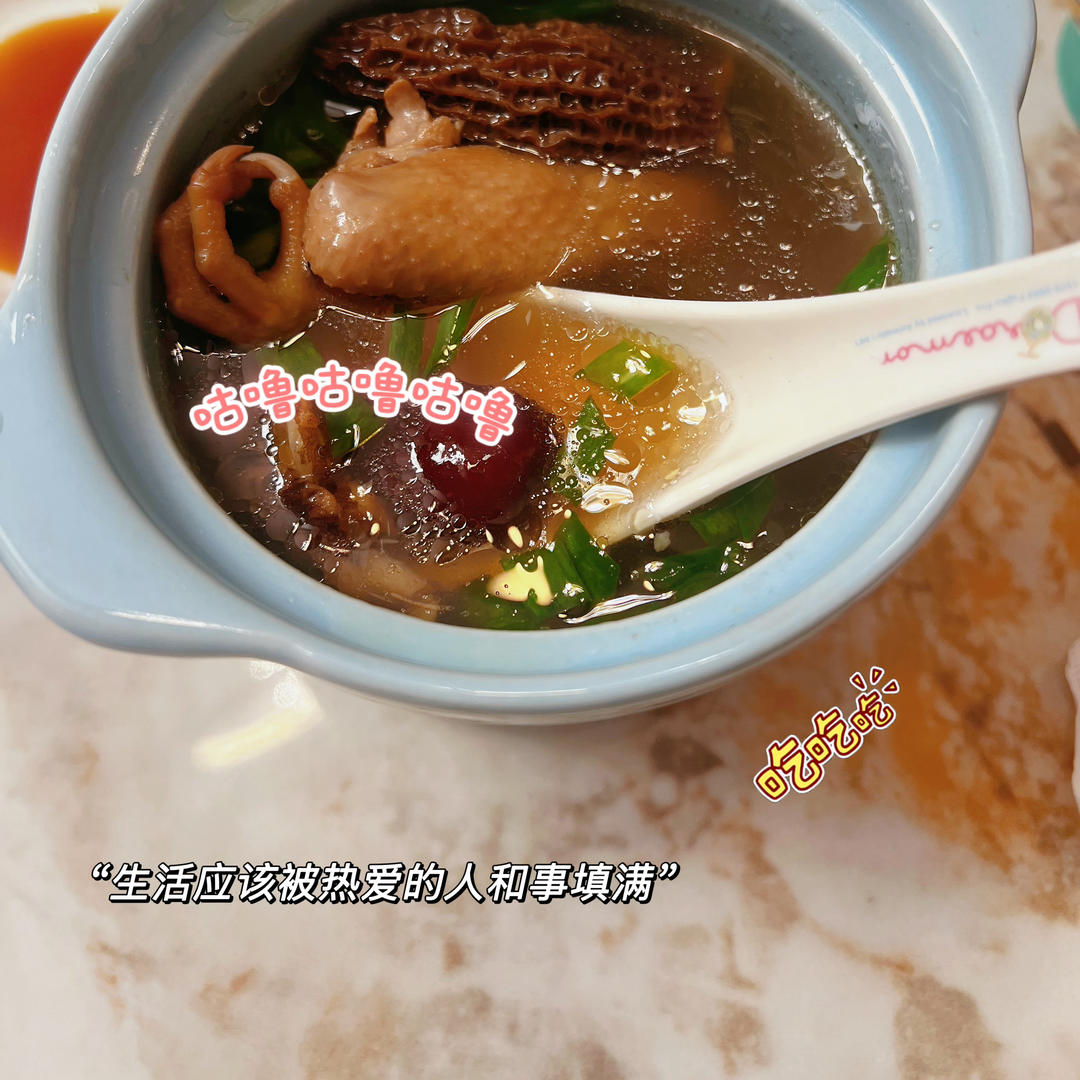 清炖鸽子汤