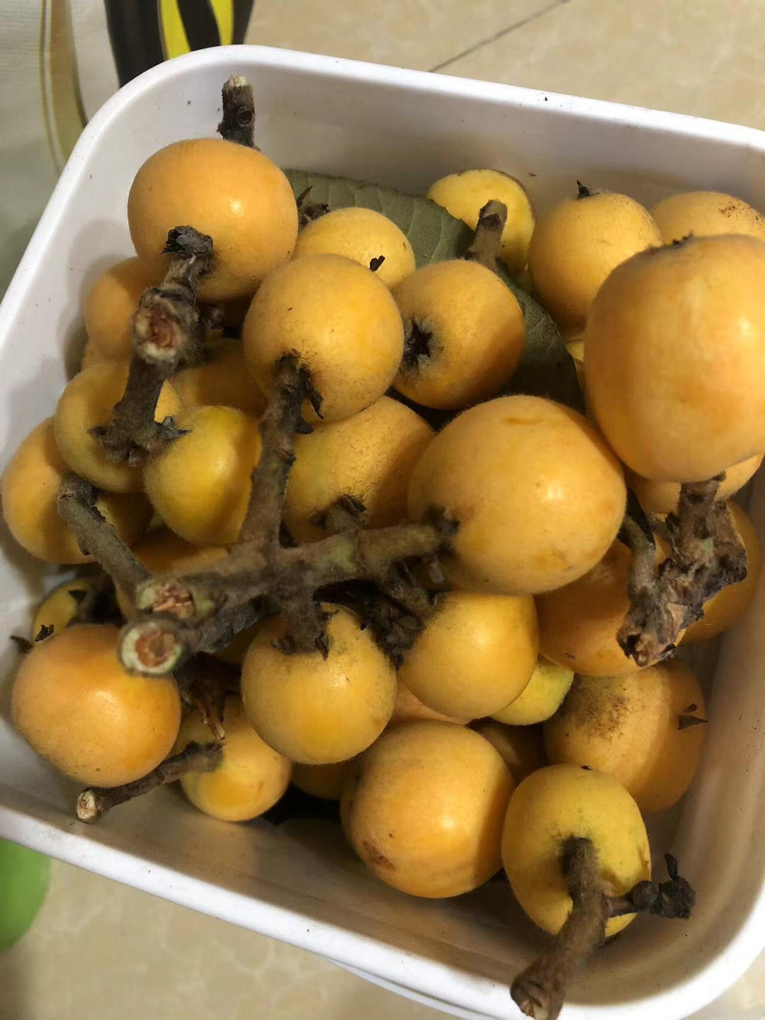 自制川贝枇杷膏