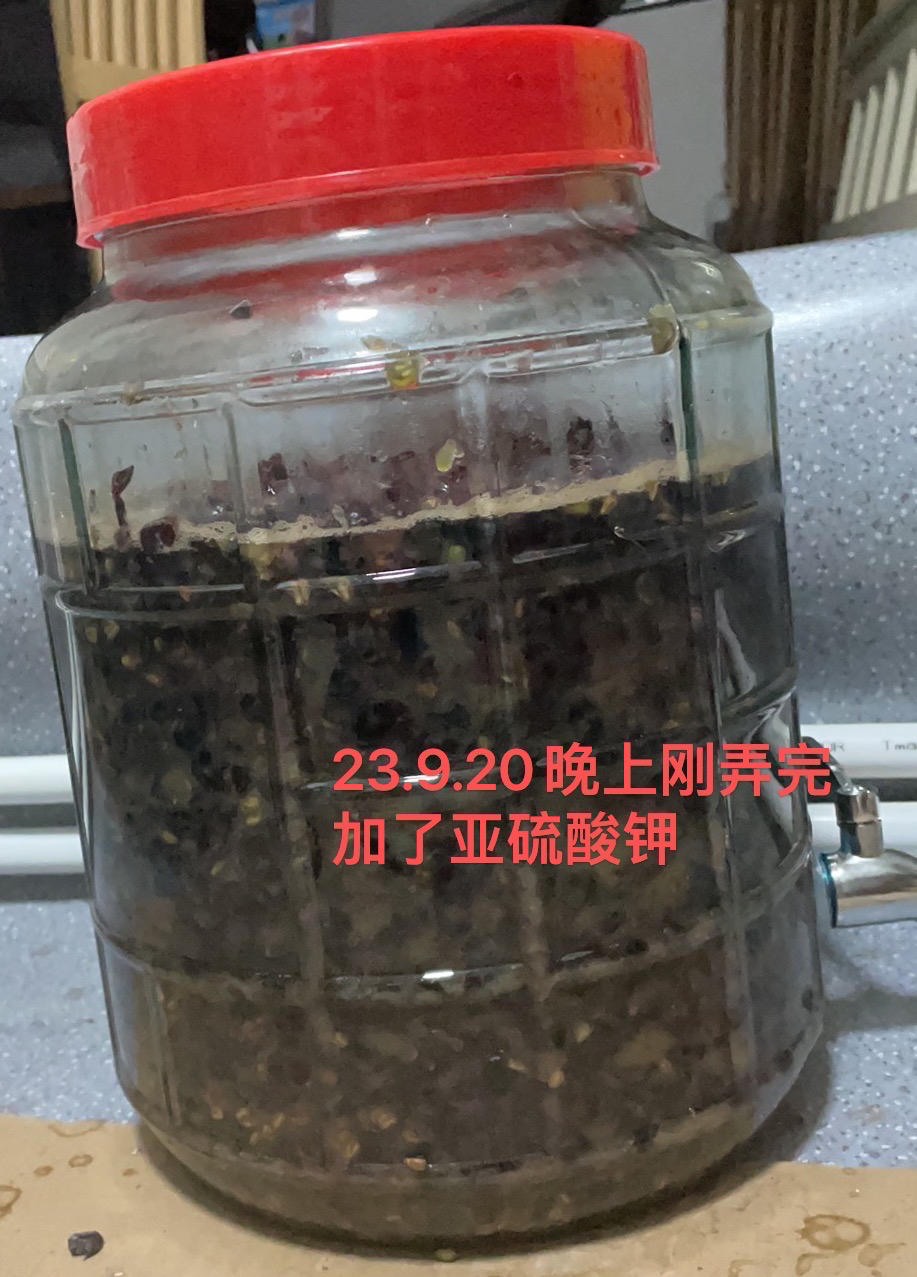 自制葡萄酒