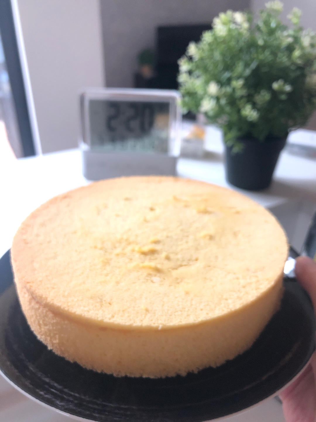 超柔软6寸戚风蛋糕(附8寸配方)零失败 超详细‼️含操作视频