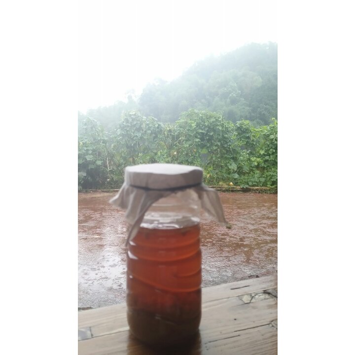 水开菲尔汽水丨喂养篇