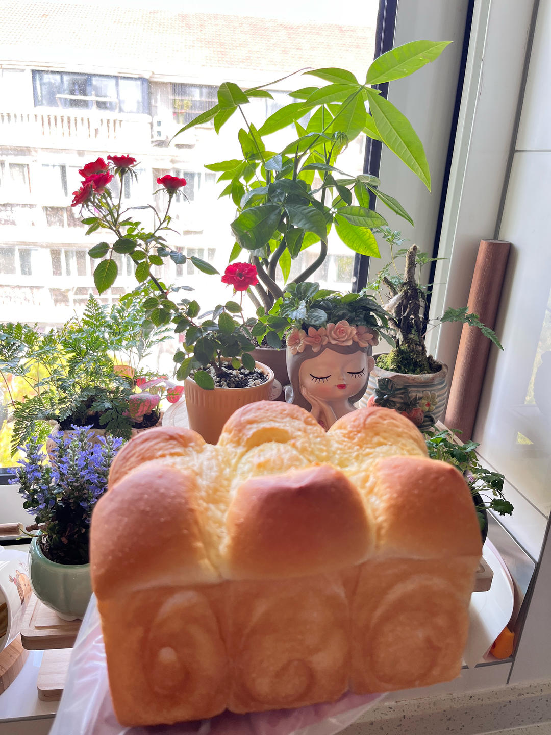 超绵软de‼️皇后吐司💯一口就沦陷✔️