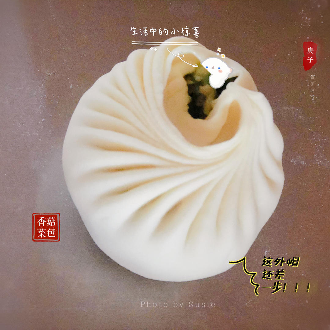 提褶包 包教包会的包子