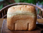 轻全麦热压三明治吐司（面包机版）丨健康·烘焙