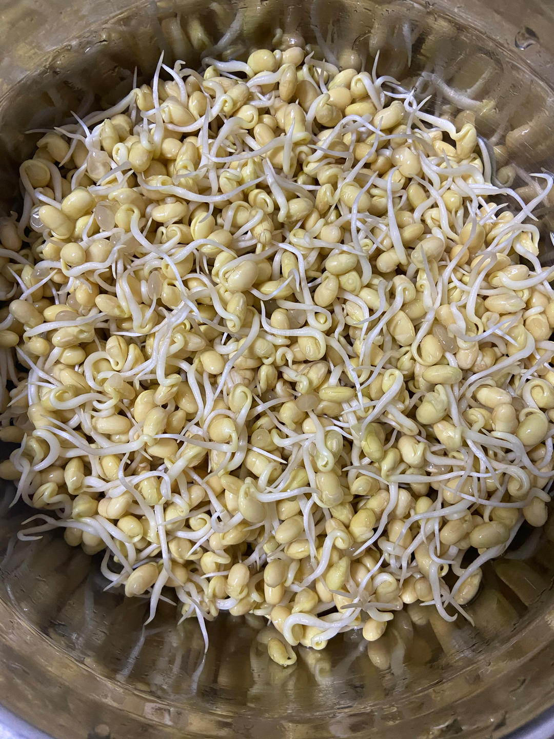 自己生黄豆芽