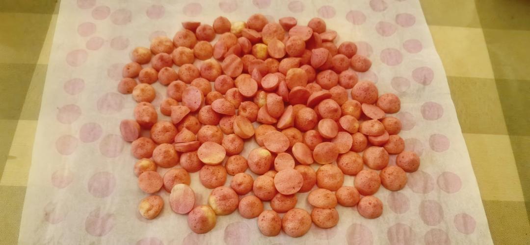 无糖溶豆 手工溶豆自制宝宝溶豆酸奶溶豆～各种水果味