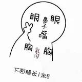 花椒H