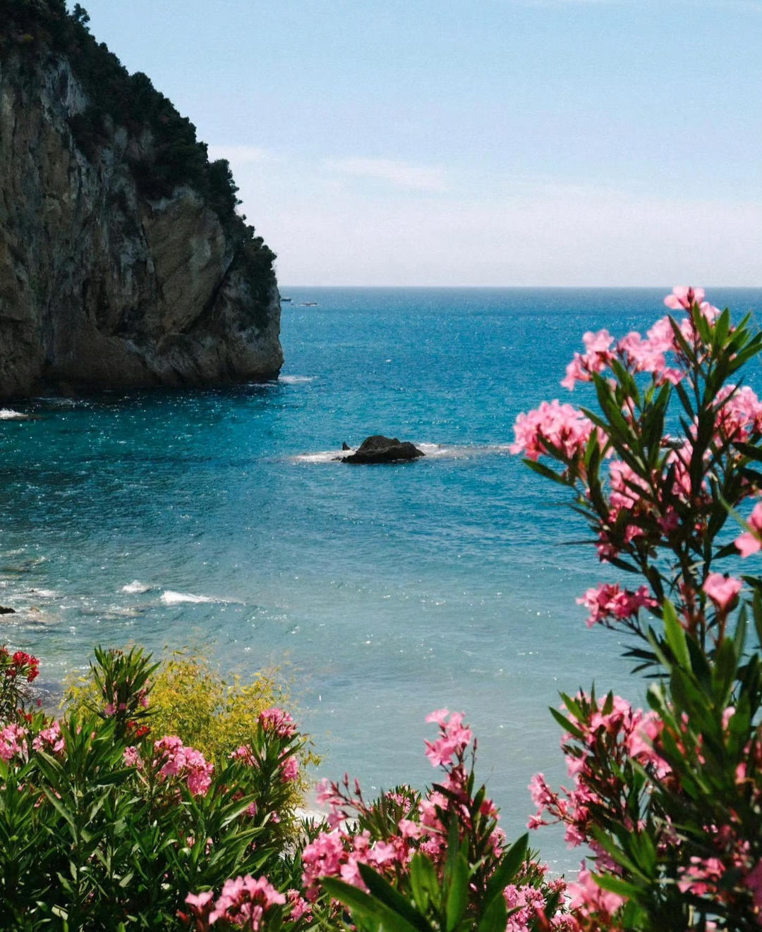 食人间烟火的大仙