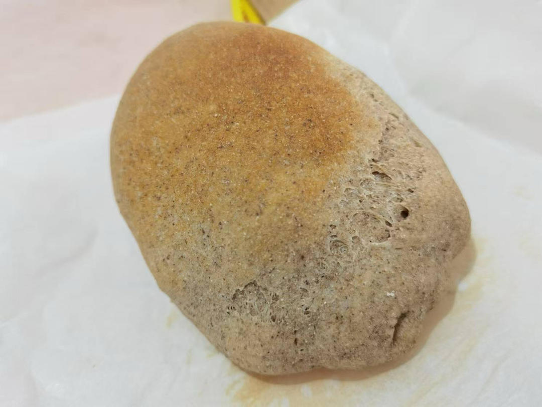 无油无糖！布鲁姆欧包~外脆内软超简单