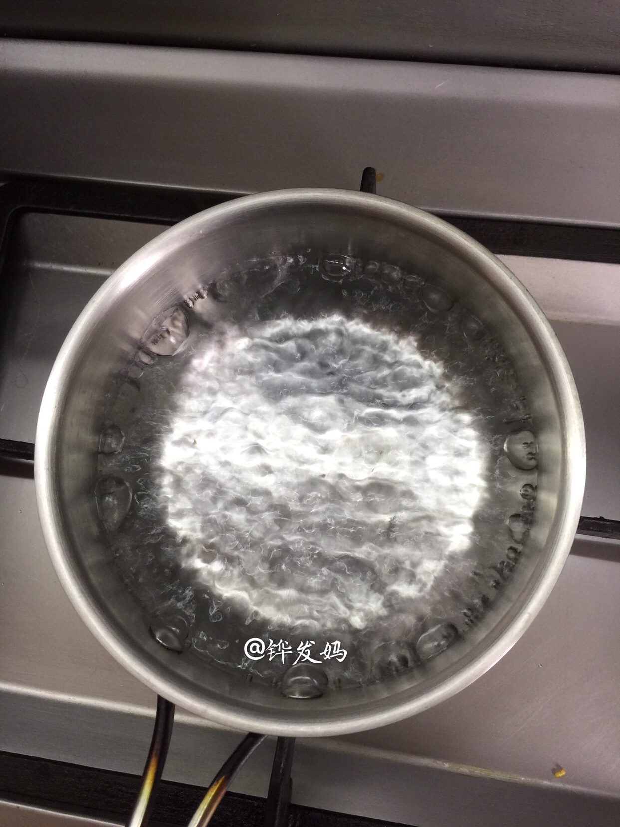 海参小米粥/小米粥的做法 步骤5
