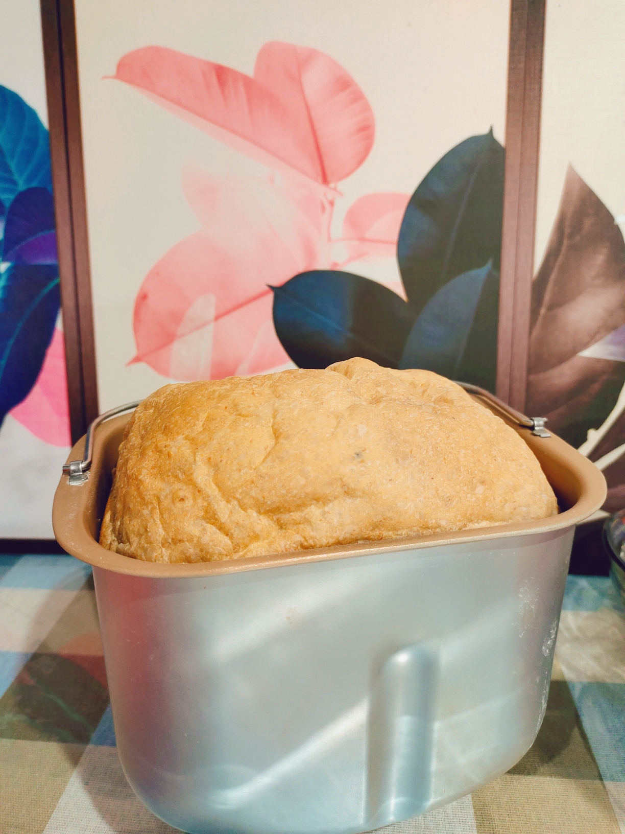 面包机全麦面包🍞的做法