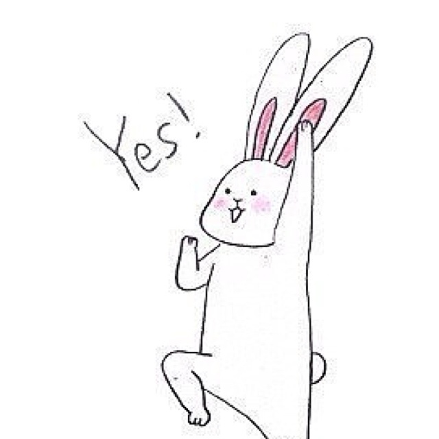 一只快乐的小狐狸