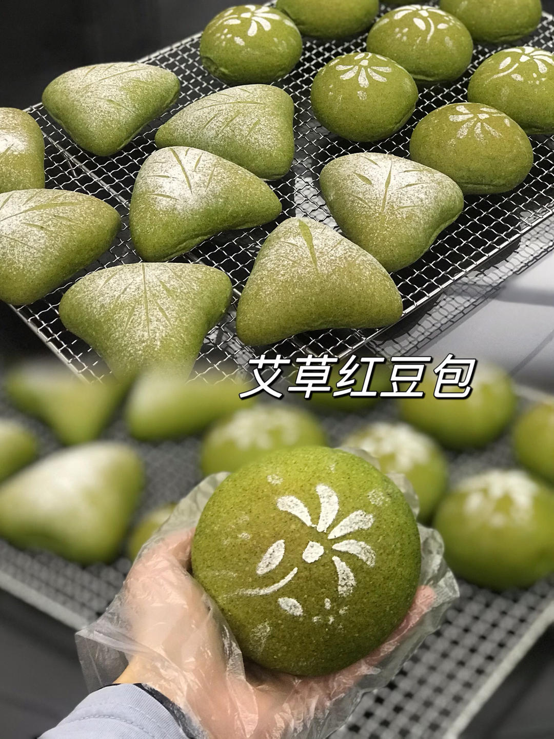 小z的各种面包记录