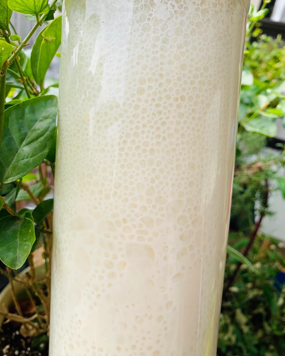 橙子天然酵母