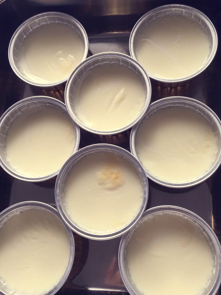 烤箱版双皮奶🥛