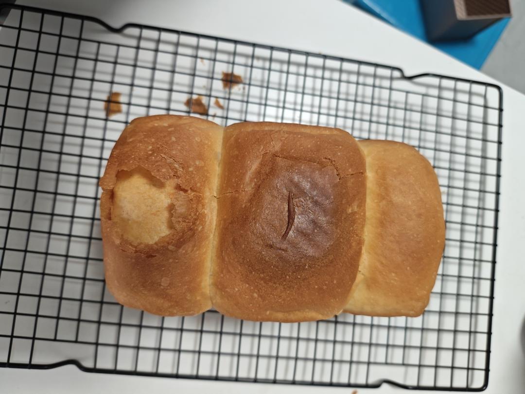 夺命软吐司(๑´ڡ`๑)超软拉丝极速方便的一次发酵吐司