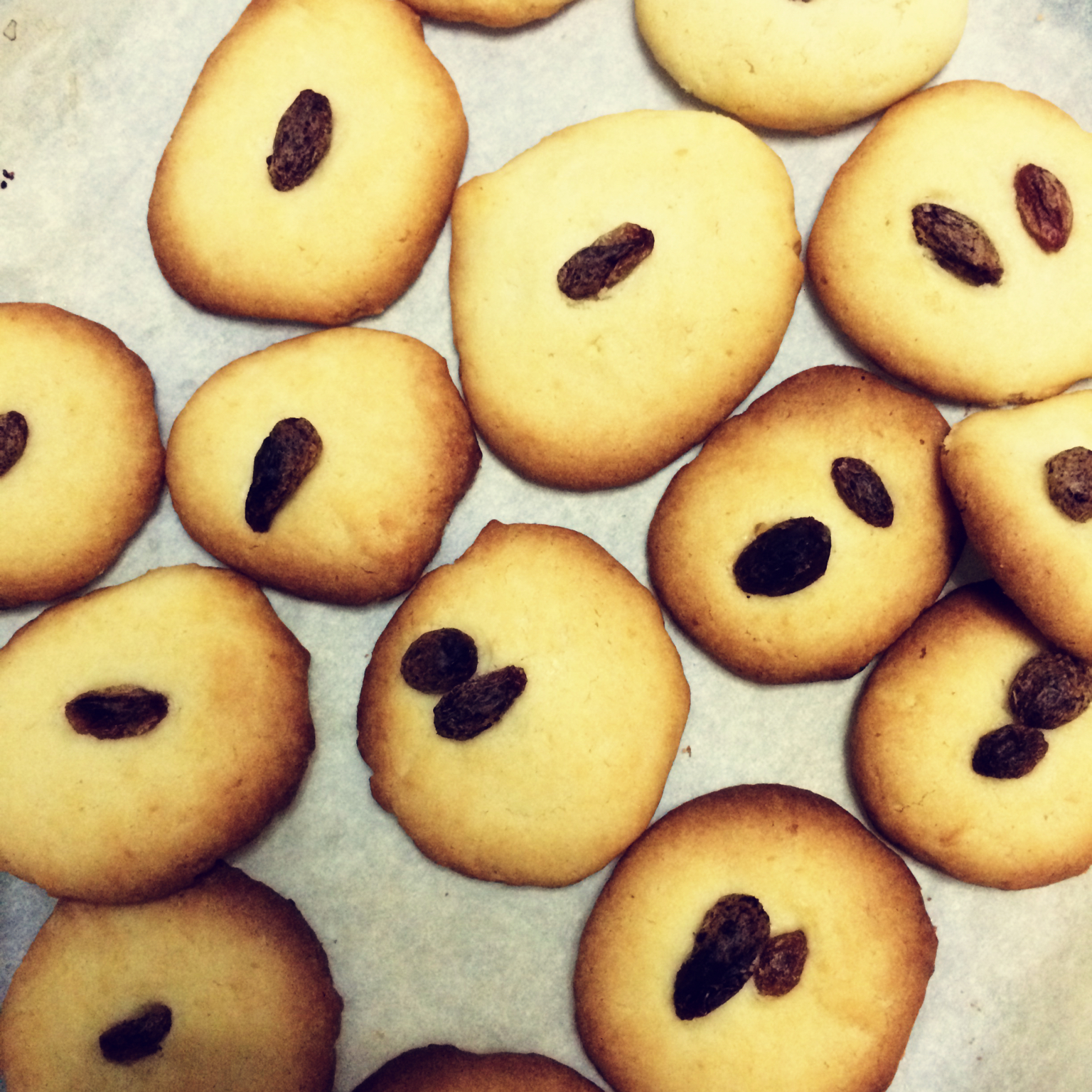 多种口味曲奇（香草、巧克力、抹茶）