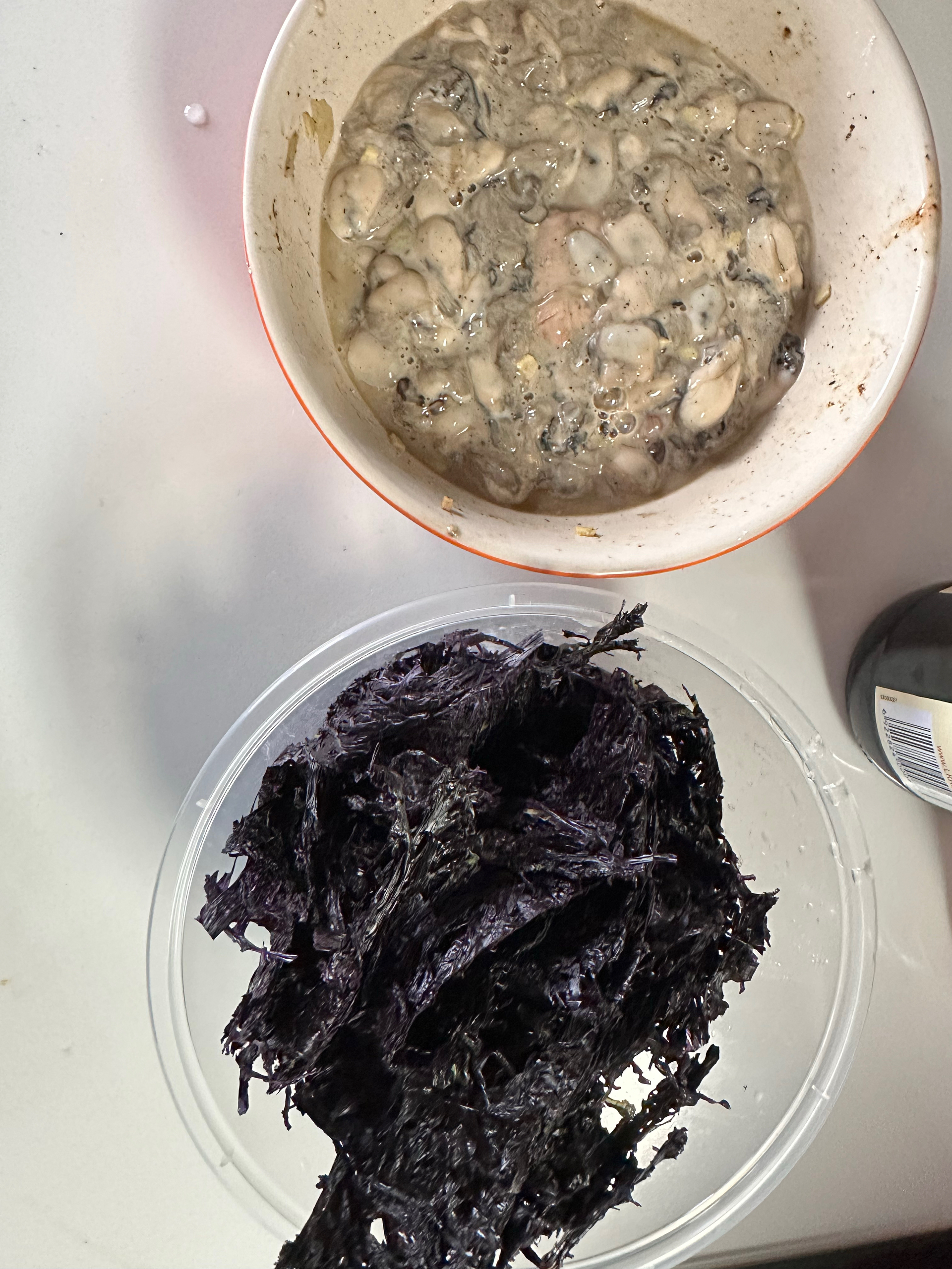 平潭海蛎煮紫菜的做法 步骤1