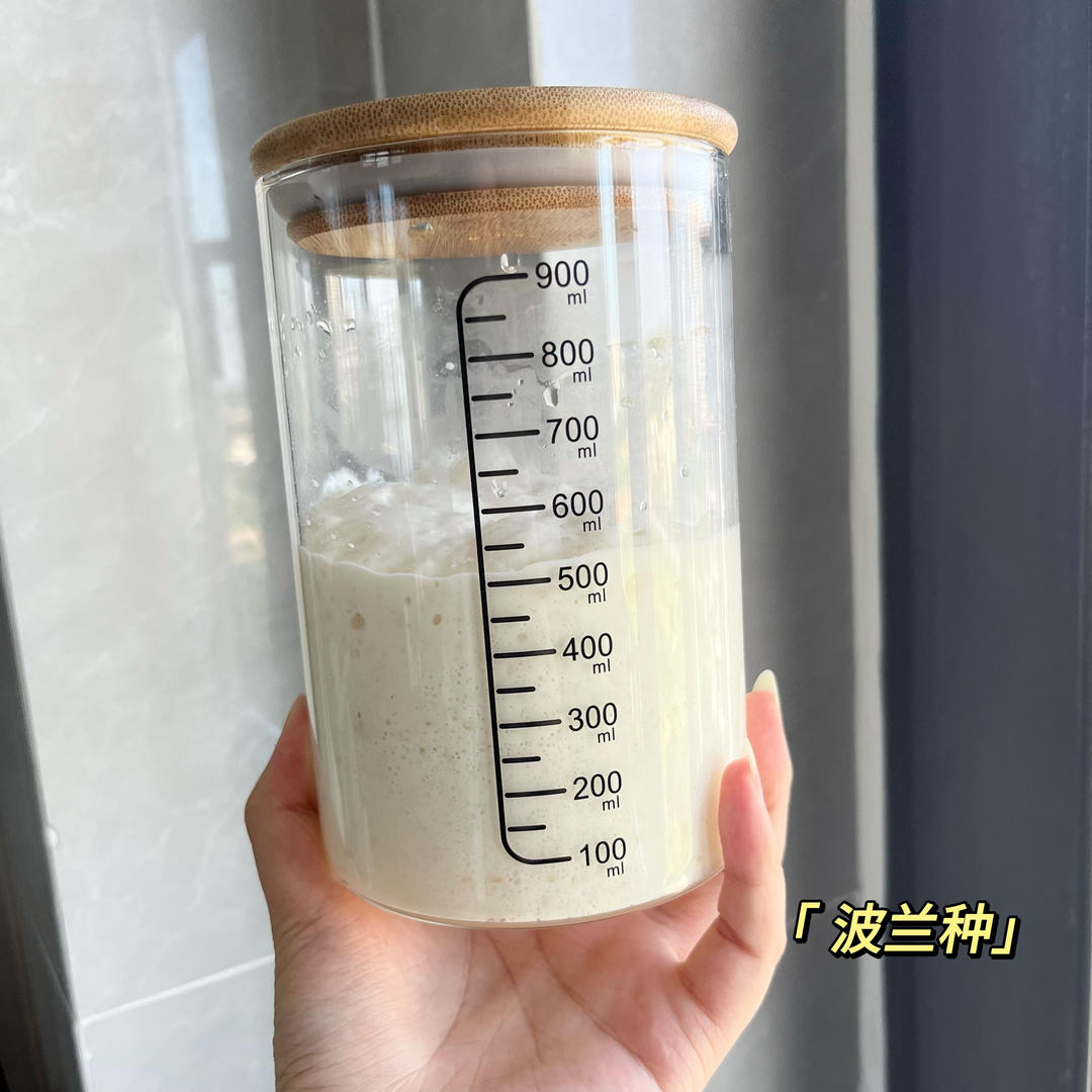 让面包变好吃的秘籍——波兰种