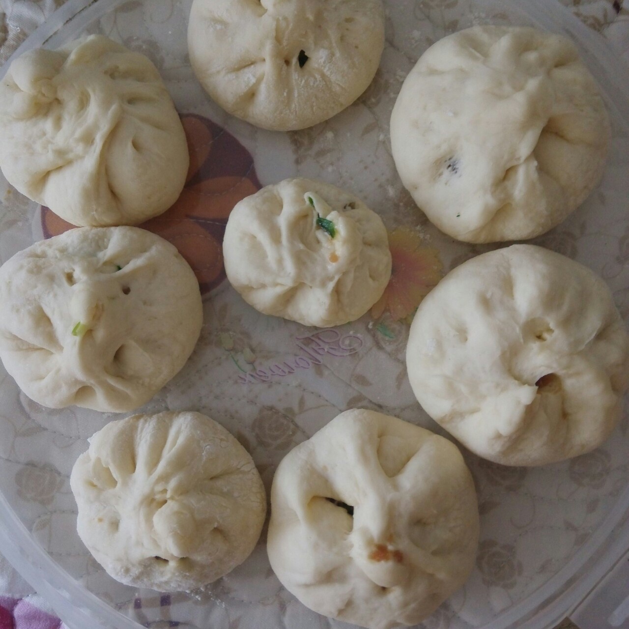 堂妈教你山菜鲜肉大包子