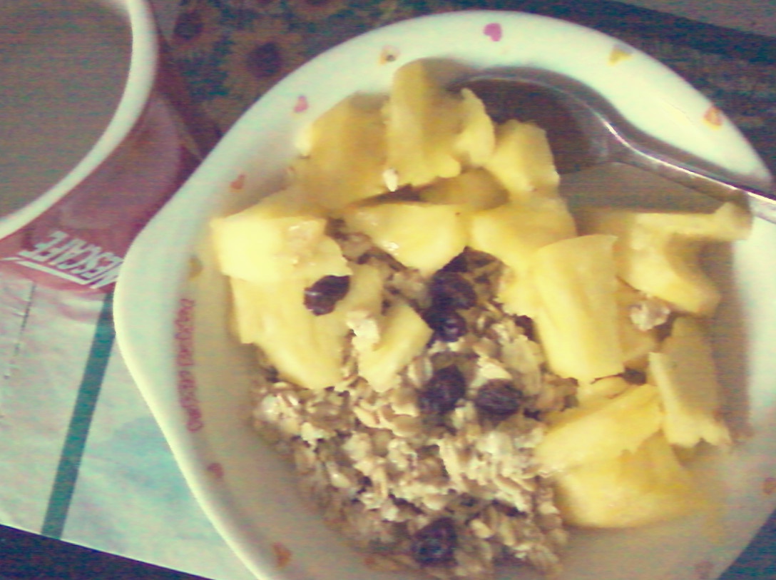 Overnight Oatmeal 隔夜早餐燕麦杯