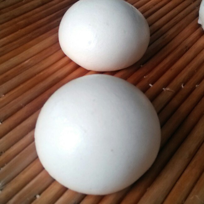中种法做牛奶蜜豆馒头