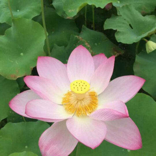 手机用户5849_izxk