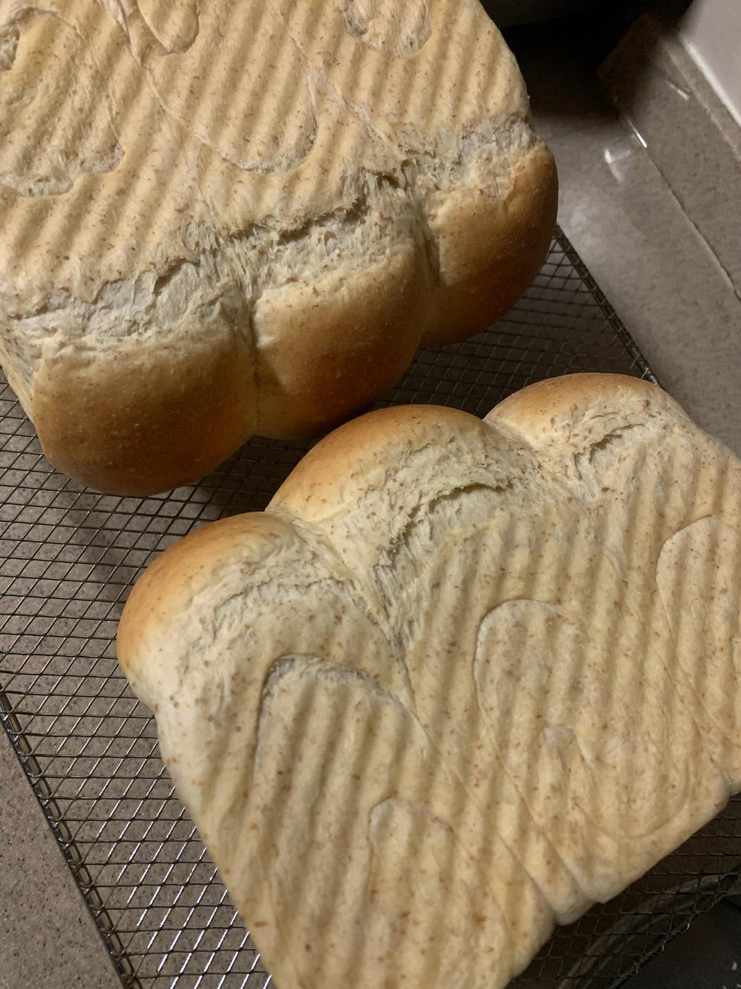 全麦吐司（70%冷藏中种法）