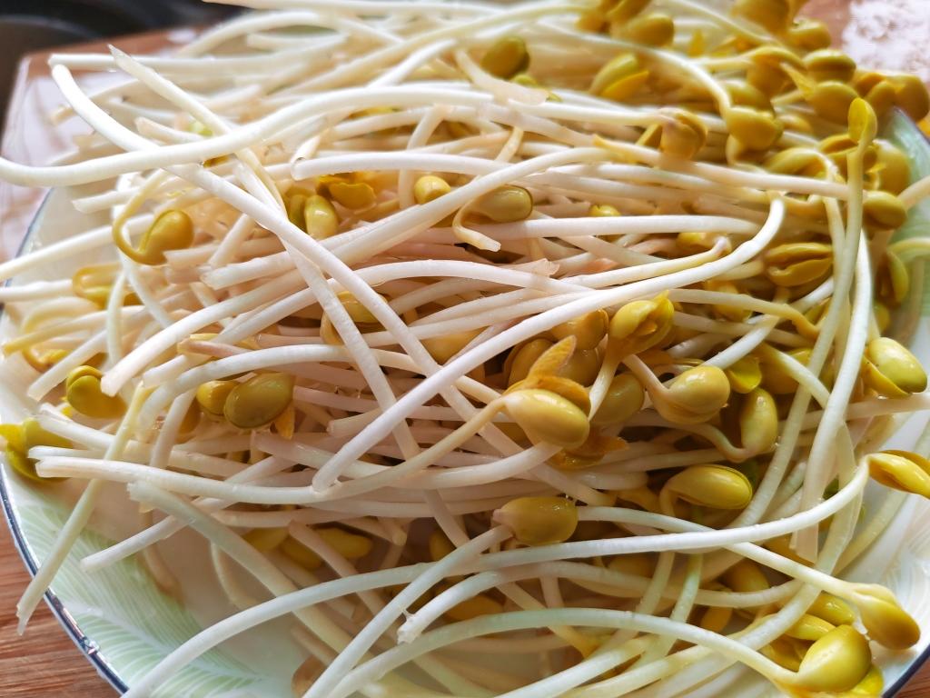 不用买豆芽机，淘米篮就够了～零失败自发豆芽
