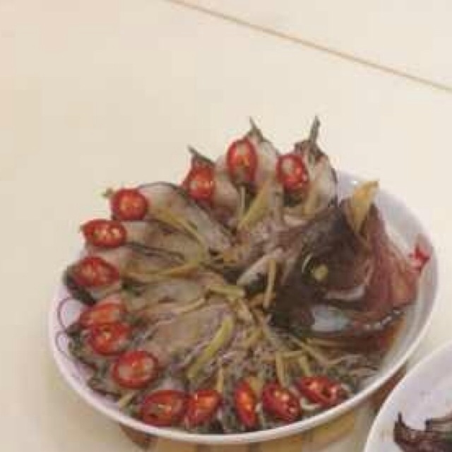 孔雀开屏鱼