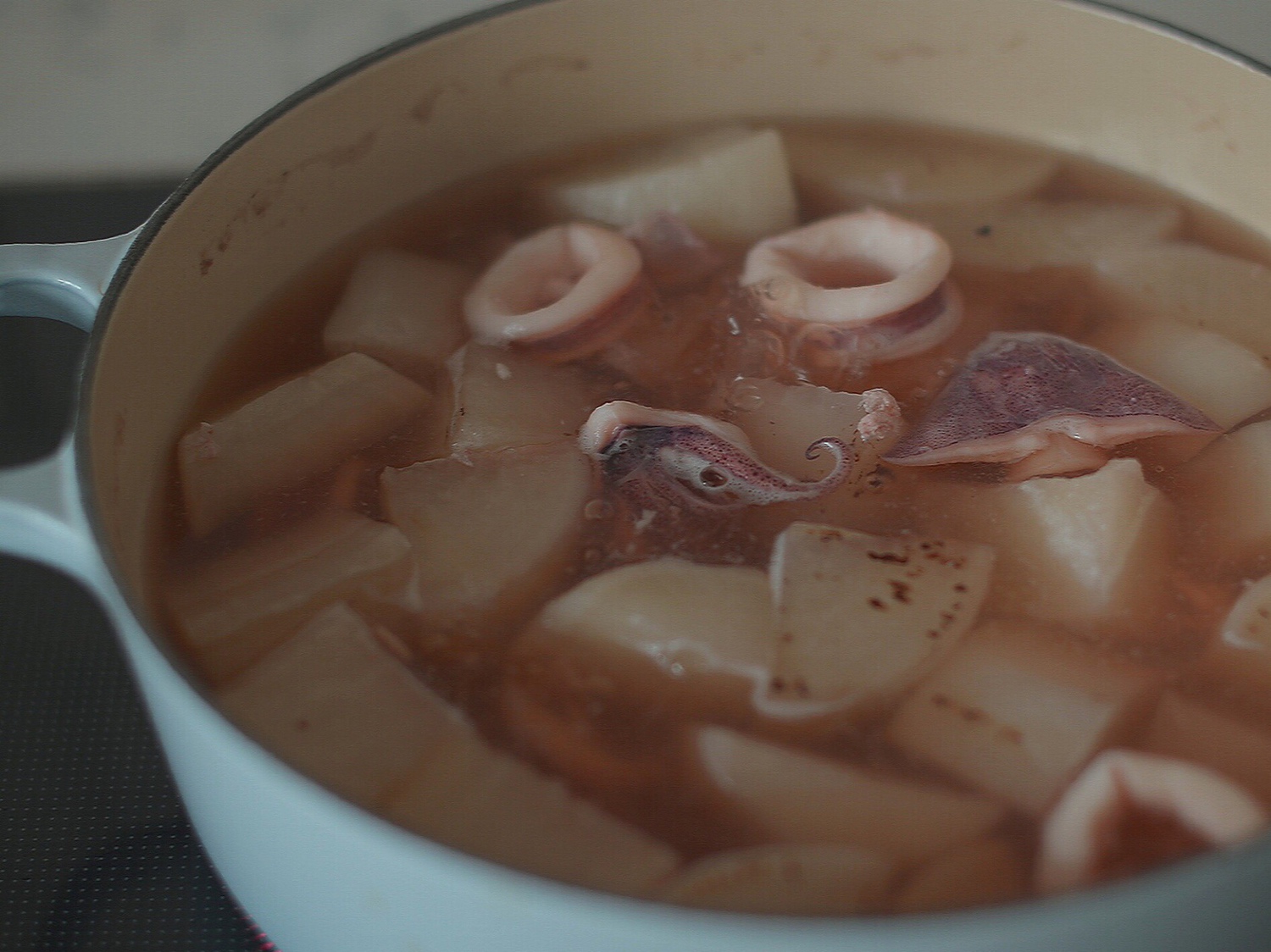 鱿鱼煨萝卜汤的做法
