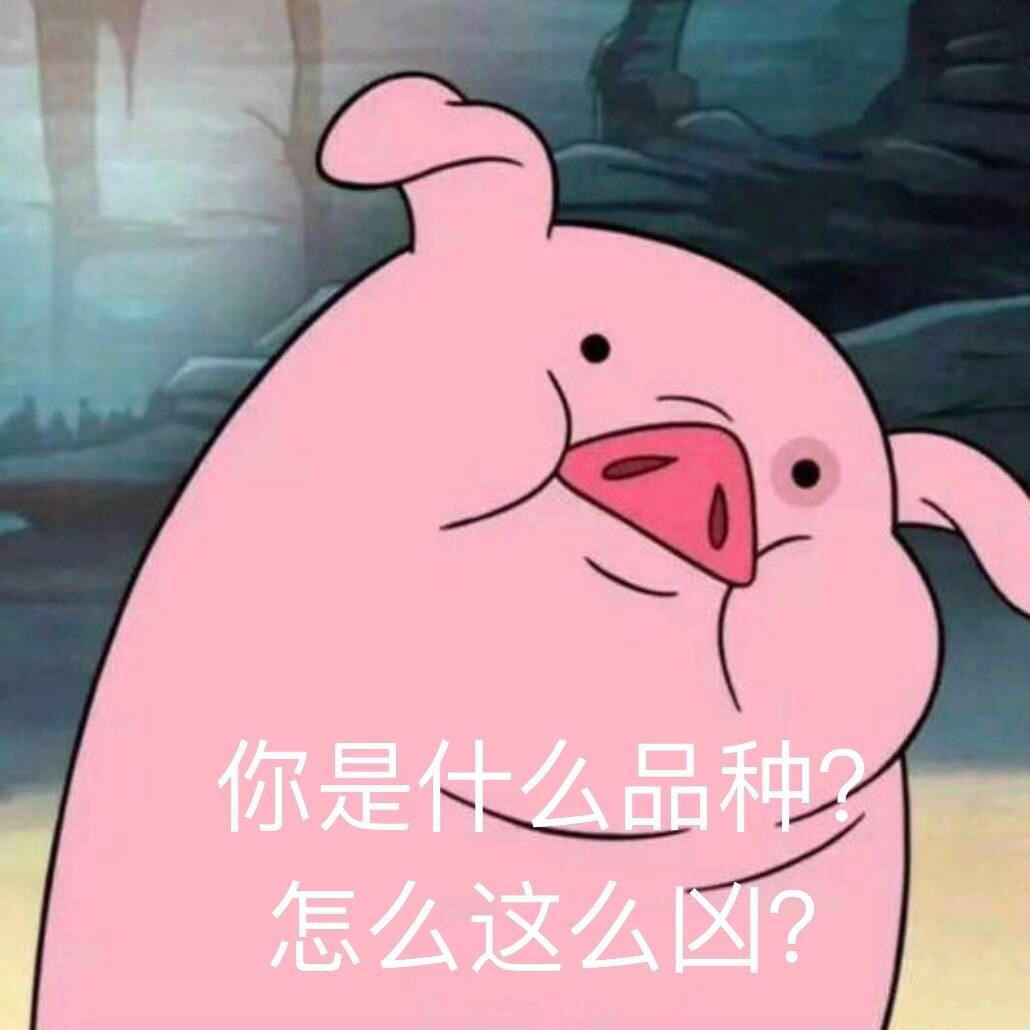 逛吃逛吃的山谷酱