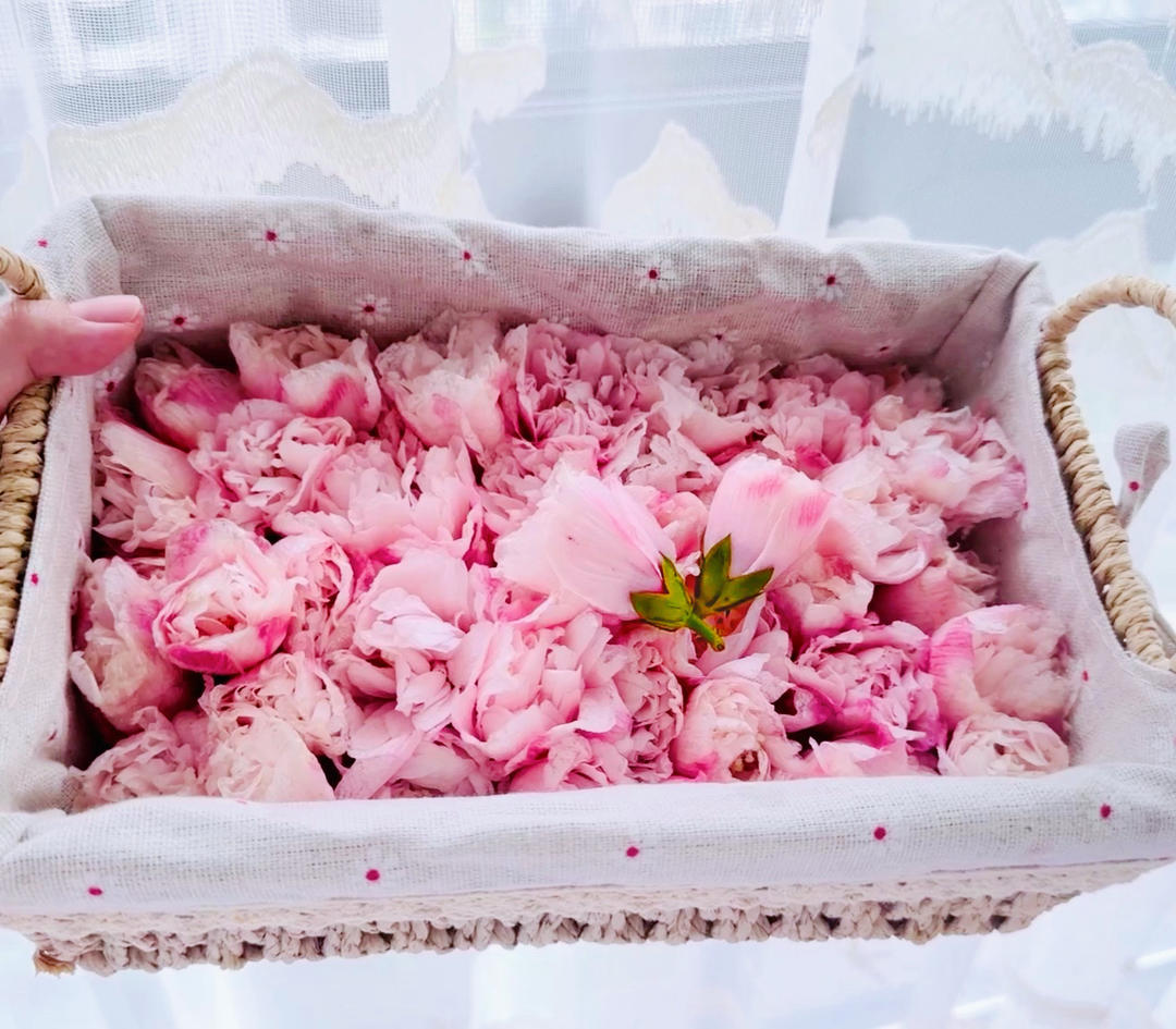 木槿花炒酸菜五花肉