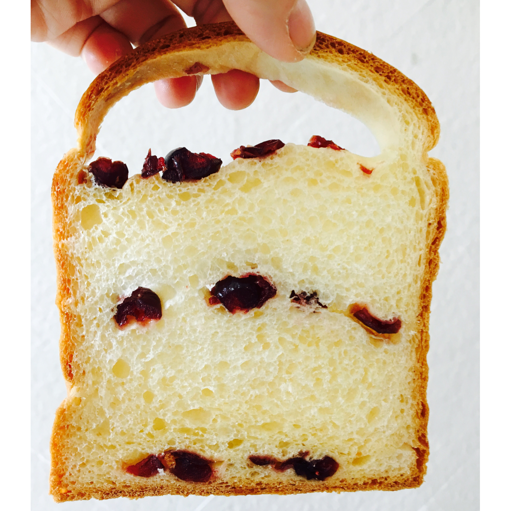 夺命软吐司(๑´ڡ`๑)超软拉丝极速方便的一次发酵吐司