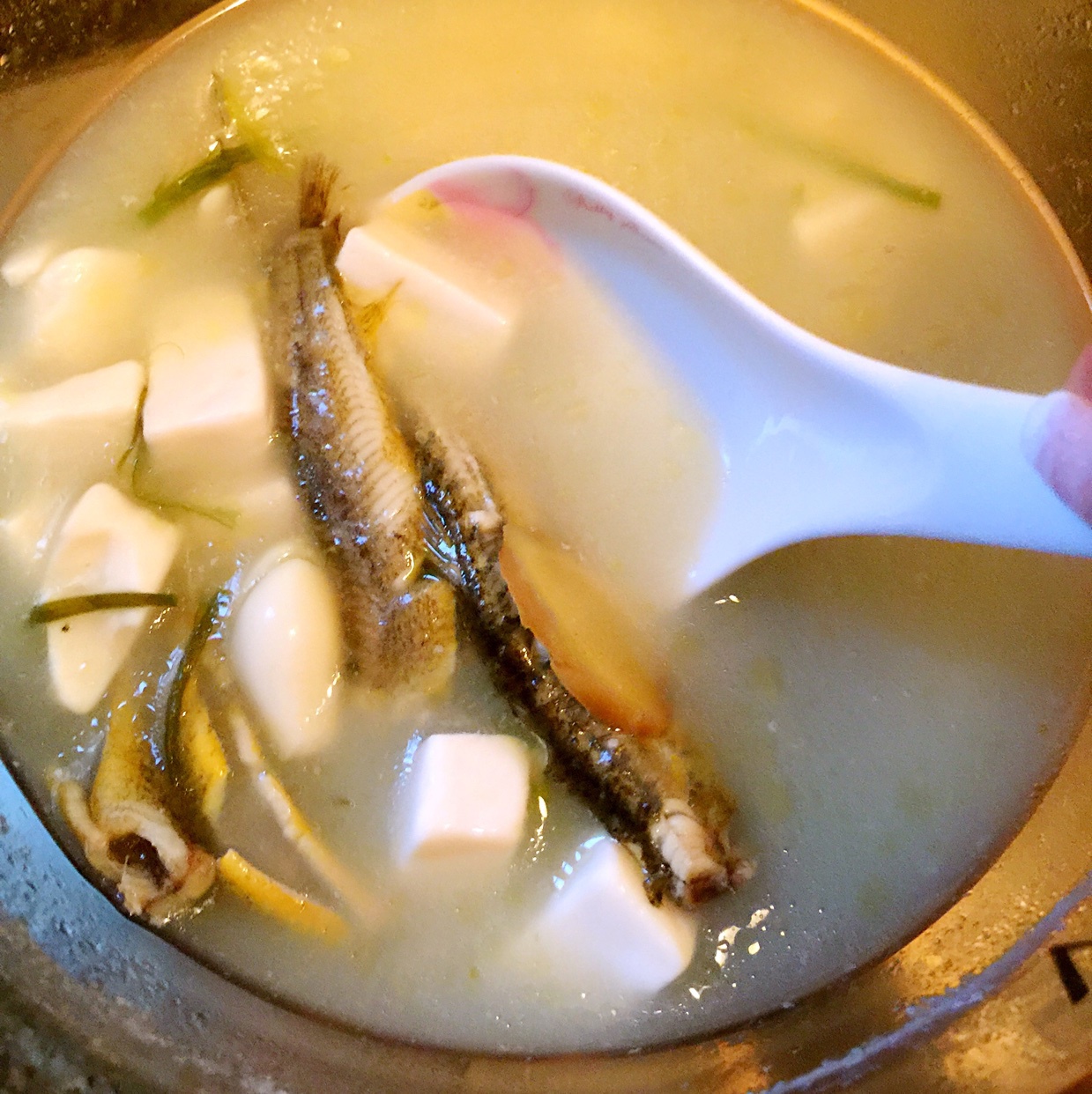 泥鳅豆腐汤