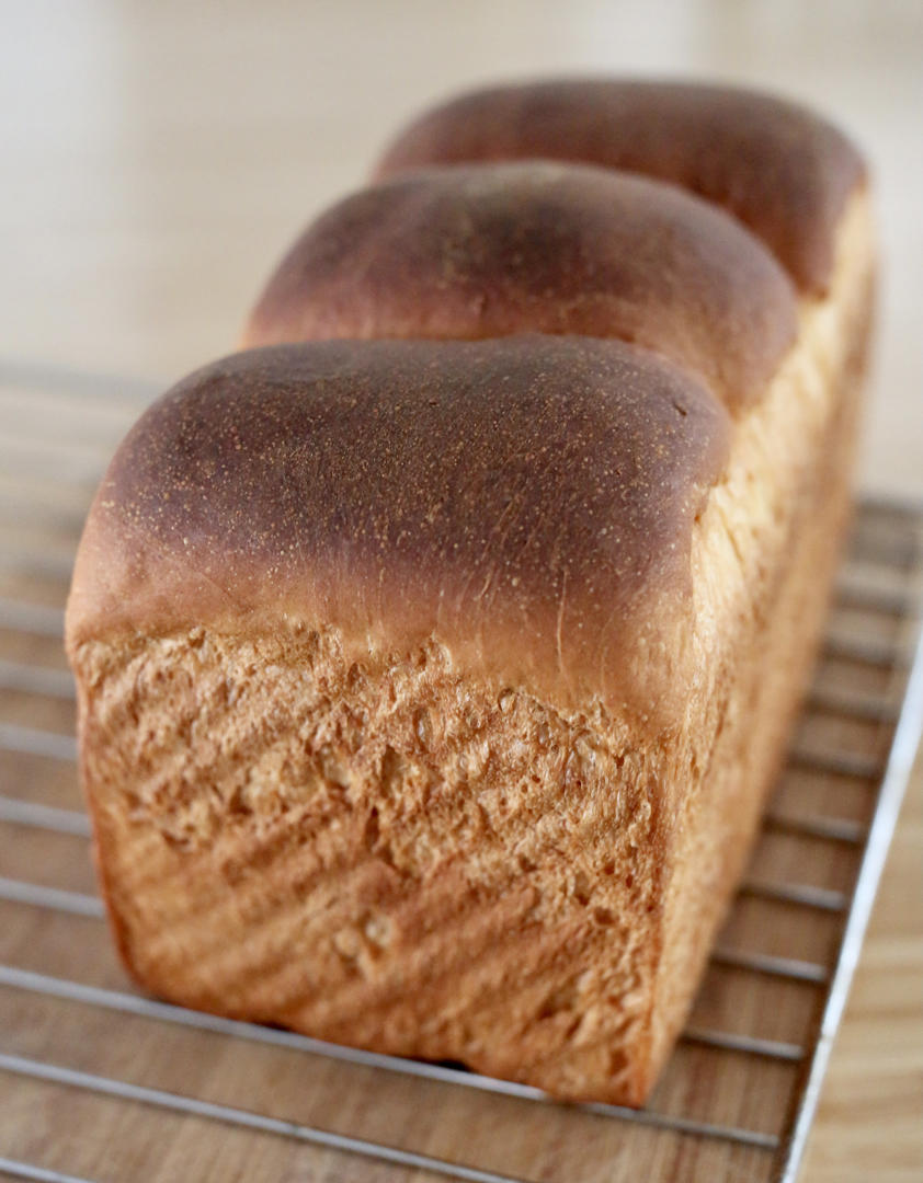 Poolish种（波兰种）吐司——不推荐不行的吐司配方